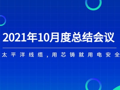 河南太平洋线缆月度总结会议