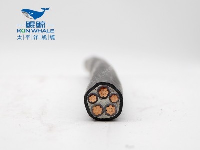低烟无卤电缆厂家为您介绍wdzn-yjy5×10电缆