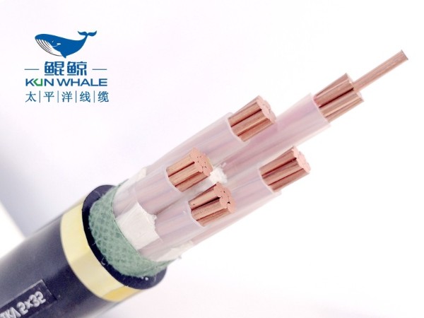 zcyjv5×25mm²阻燃低压电缆价格
