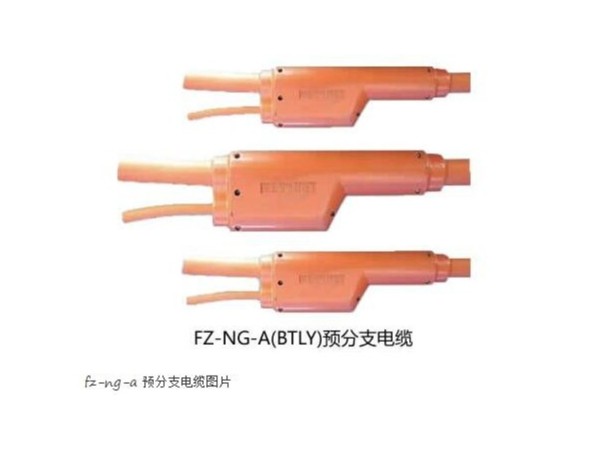 FZ-NG-A(FZ-BTLY)防火分支电缆